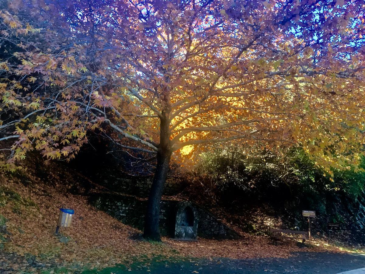 Saint Nicholas Heights Chakistra Kültér fotó